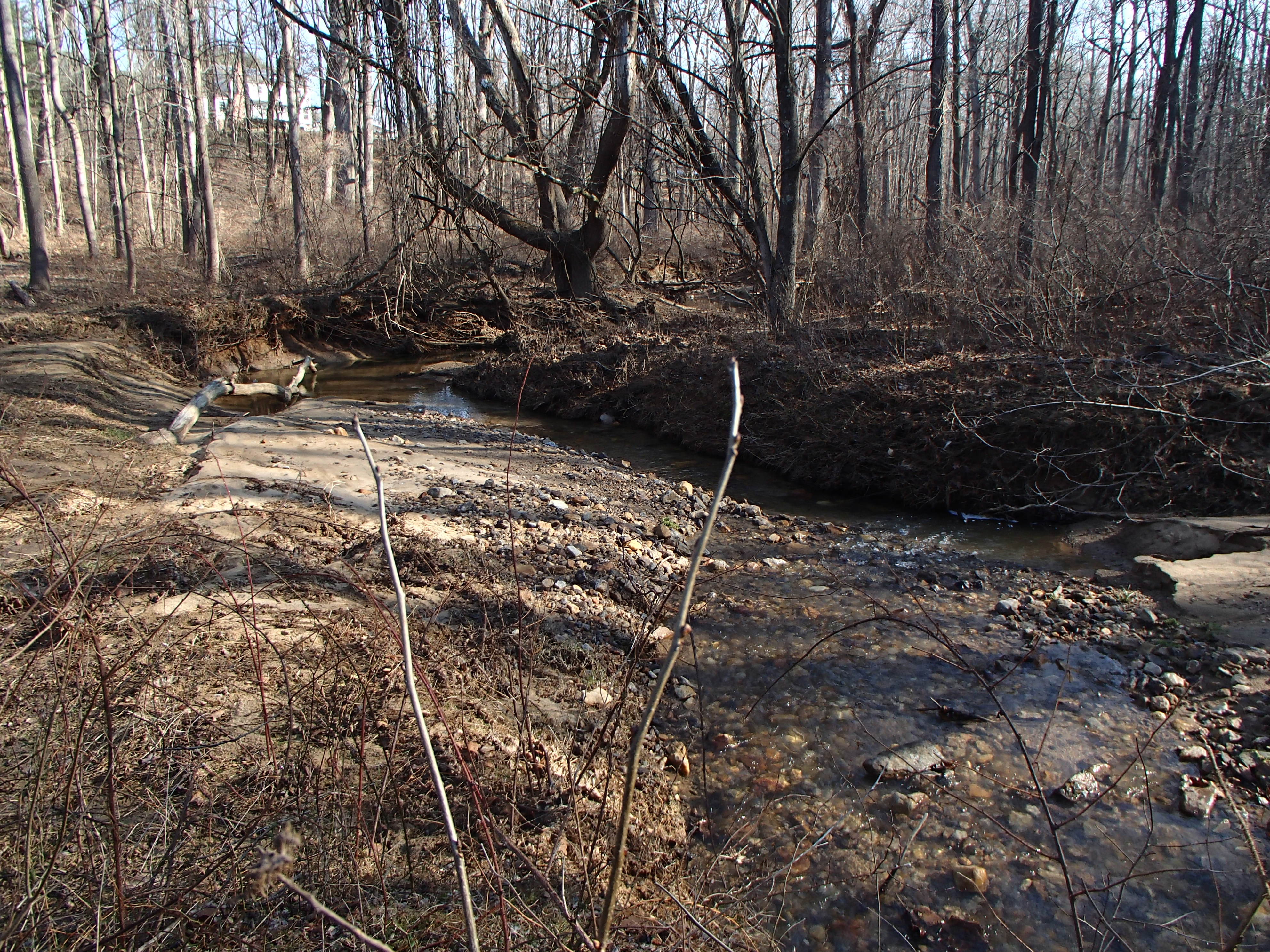 Field photo showing stream conditions at site RKGR-107-R-2016_midpoint looking downstream
